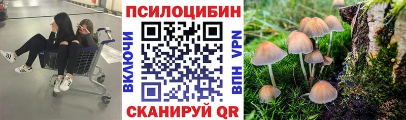 Галлюциногенные грибы Psilocybine cubensis  ссылка на мегу как войти  Козловка 